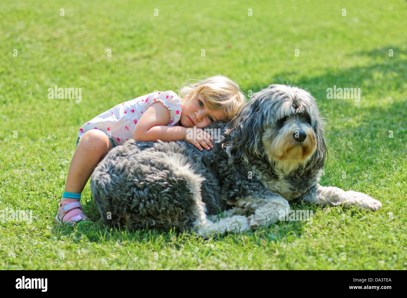 Little girl cuddling a friendly big dog Polish Lowland Sheepdog