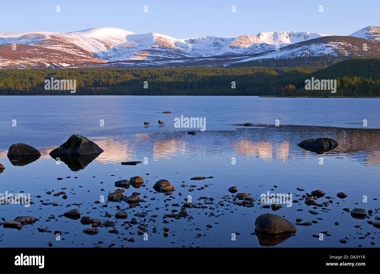 Cairngorm and the Northern Corries seen from Loch Morlich near Aviemore