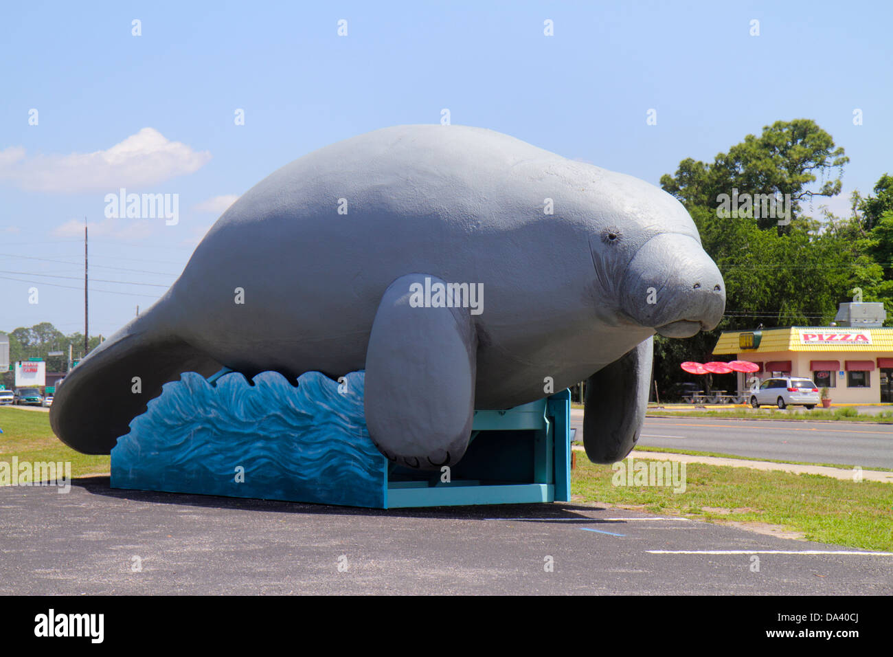 Florida Homosassa Springs,Ellie Schiller Homosassa Springs Wildlife State Park,giant West Indian manatee,roadside America,humor,humorous,humour,funny, Stock Photo