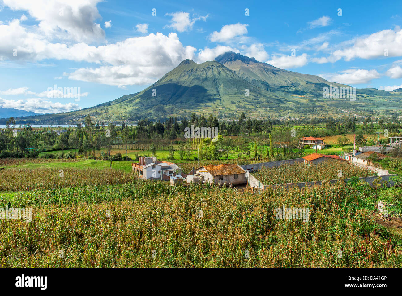 Imbabura volcano, Imbabura Province, Ecuador Stock Photo Alamy