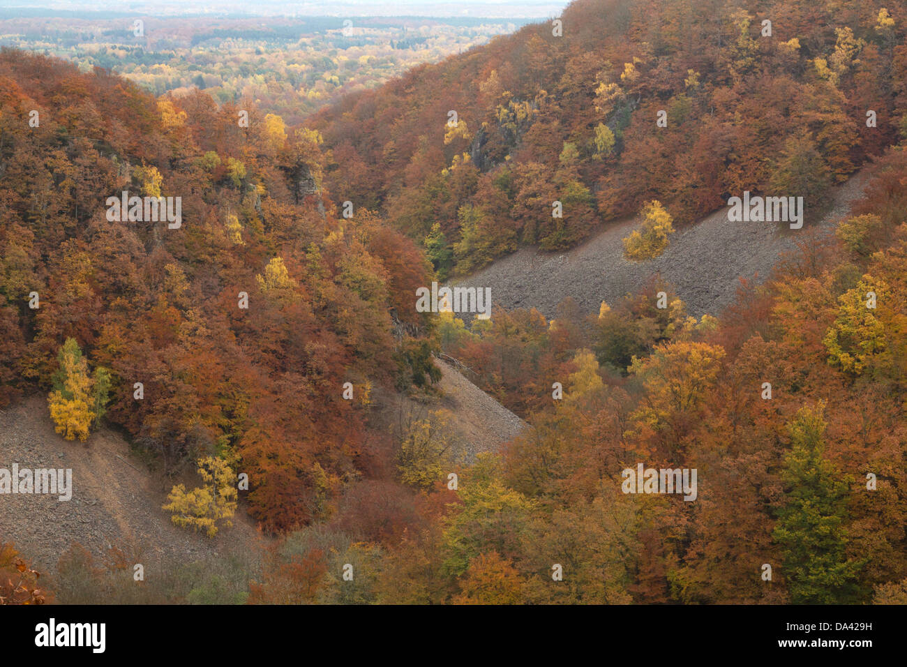 A view over Söderåsen National Park in the south of Sweden Stock Photo ...