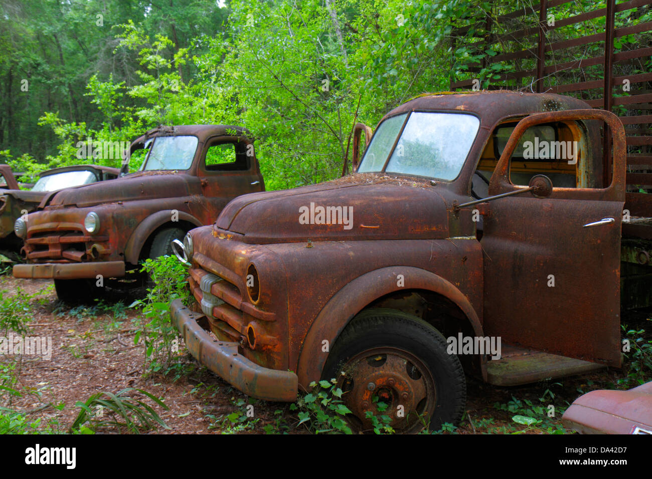 Crawfordville Florida,rusted rusty rusting junked abandoned antique car