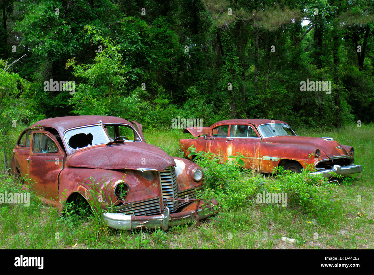 Crawfordville Florida,rusted rusty rusting junked abandoned antique car