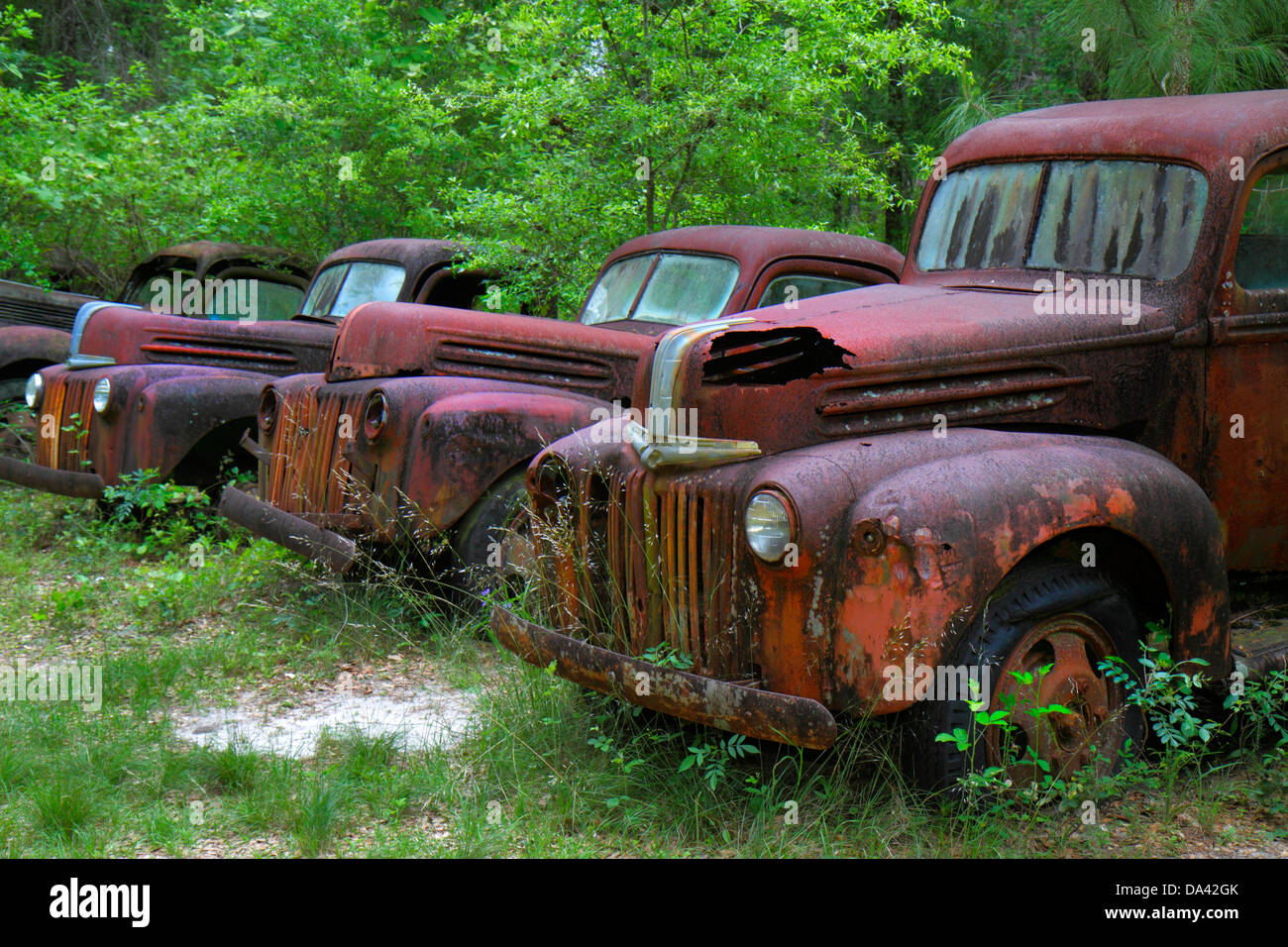Crawfordville Florida,rusted rusty rusting junked abandoned antique car