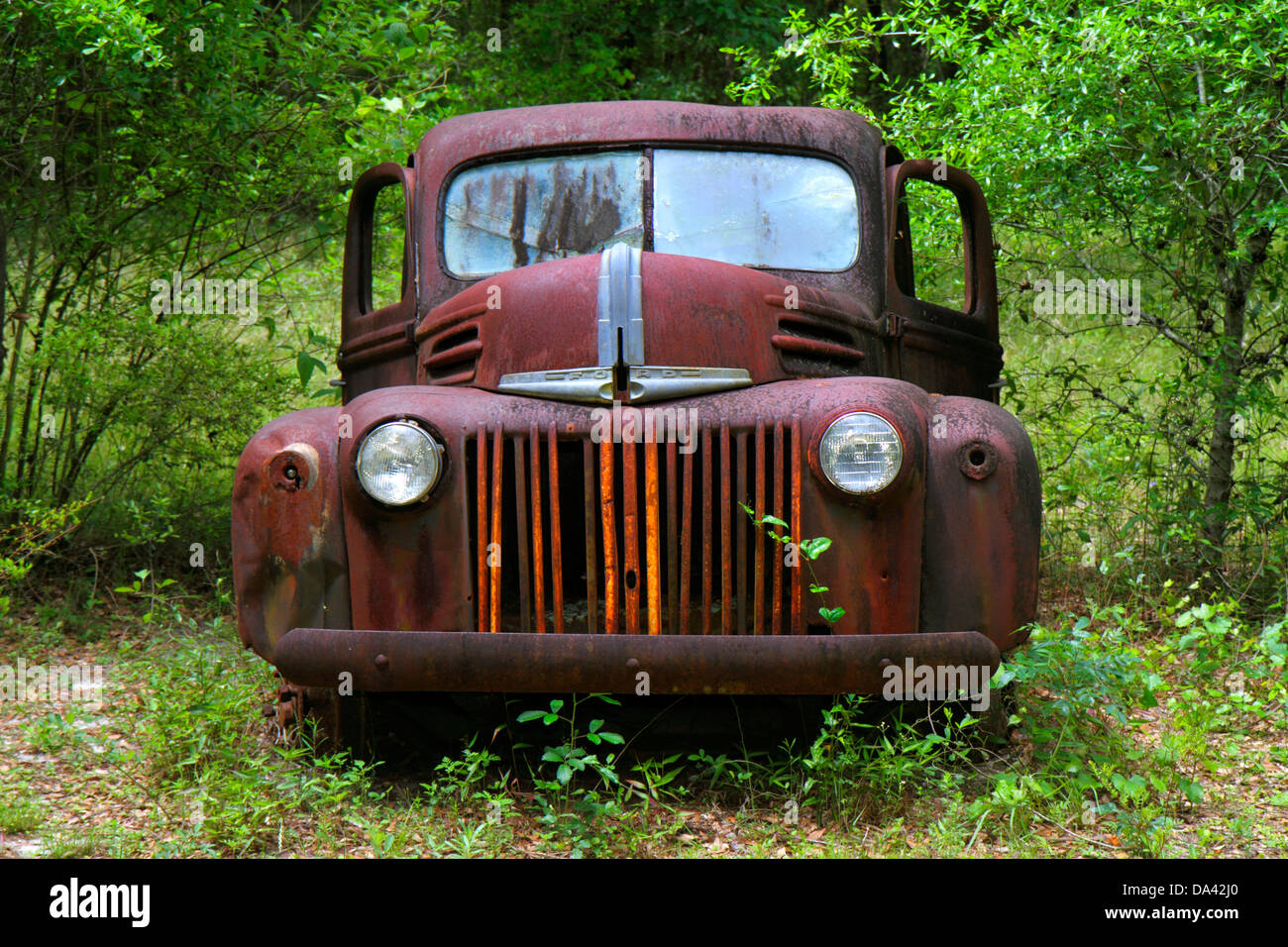 Crawfordville Florida,rusted rusty rusting junked abandoned antique car