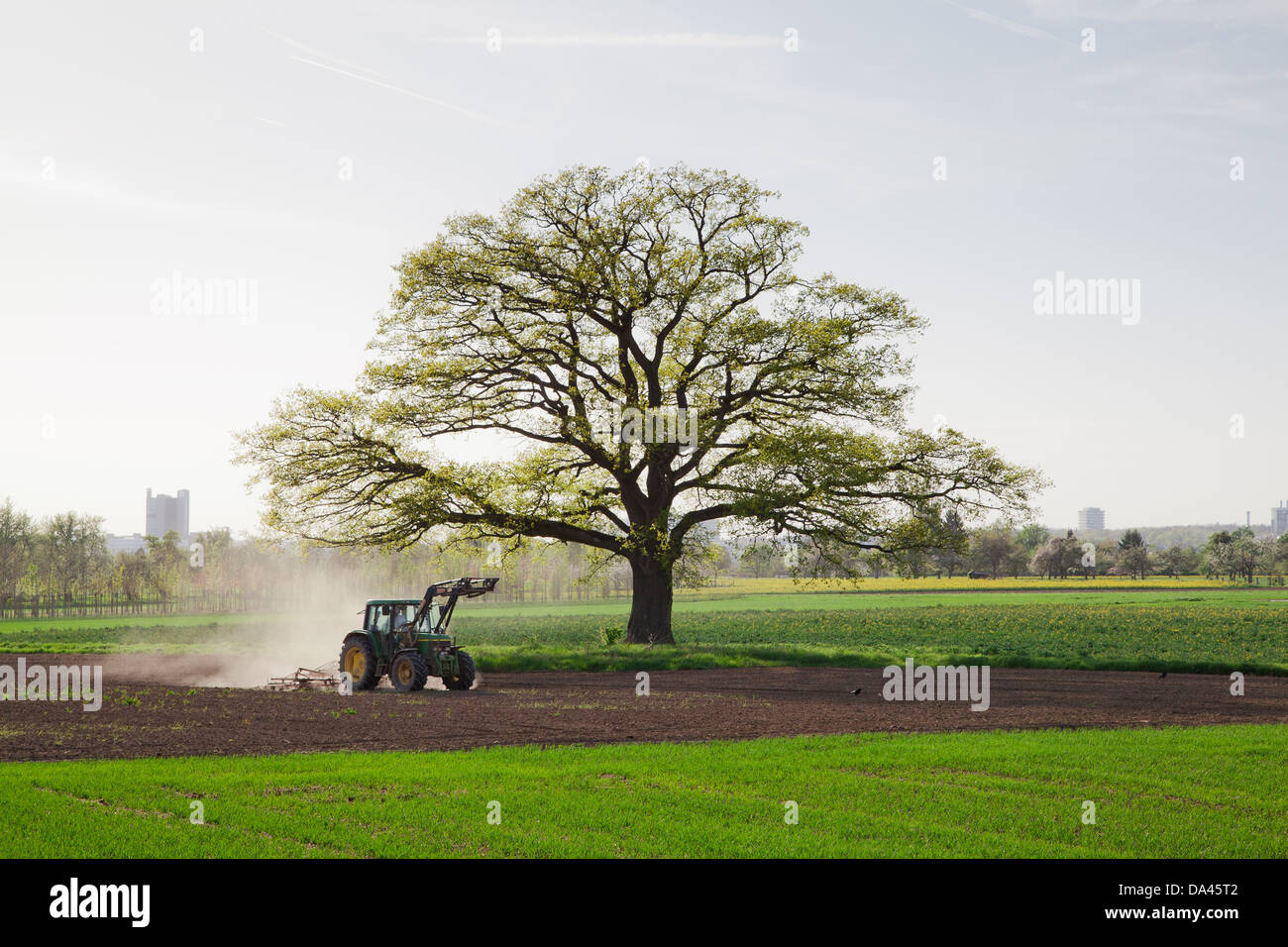 A agricultural tractor is plowing the field Stock Photo - Alamy