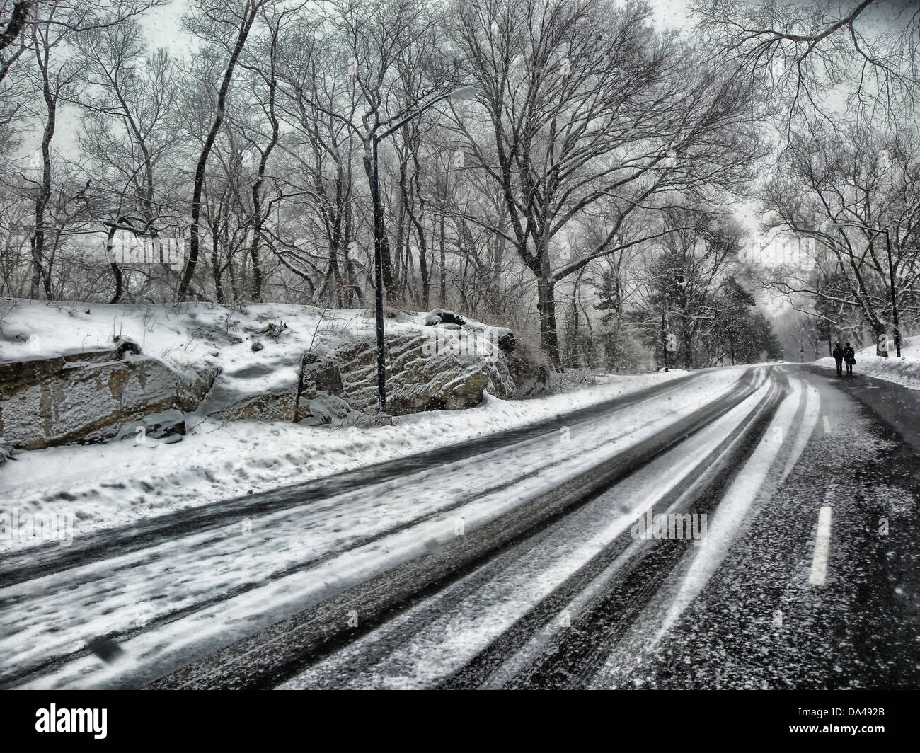 central park new york city road trees winter snow Stock Photo Alamy
