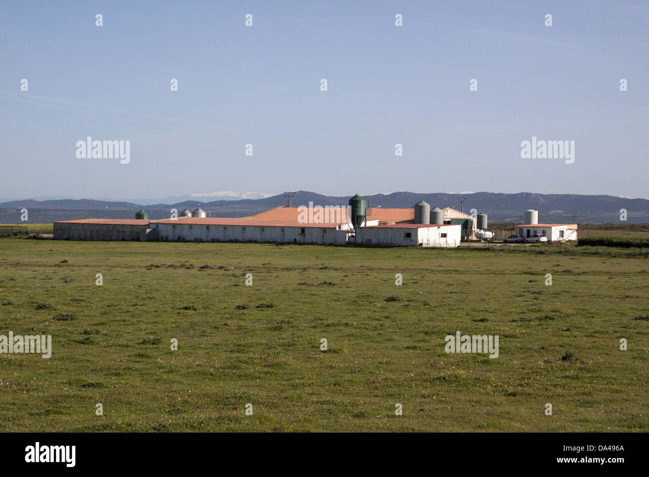 Intensive pig farming sheds on the Belen Plateau, Extremadura, Spain