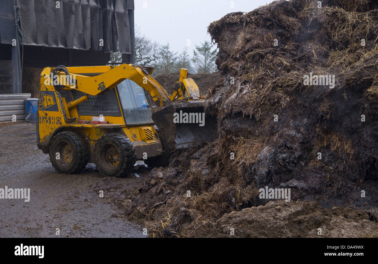 JCB 165 Robot Skid Steer loader moving manure in farmyard, Nantwich, Cheshire, England, February Stock Photo