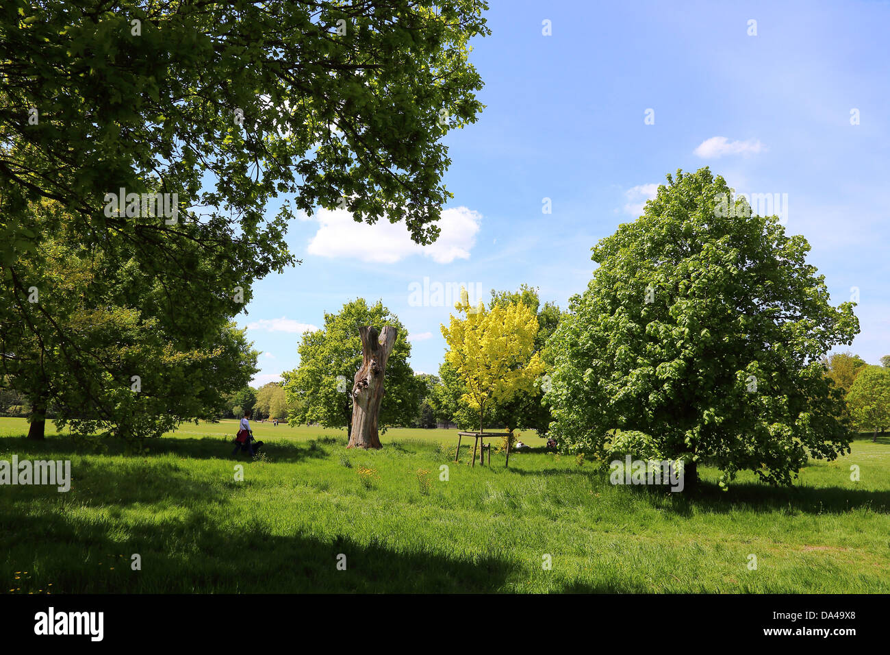 Horsham Park Surrey England Stock Photo Alamy