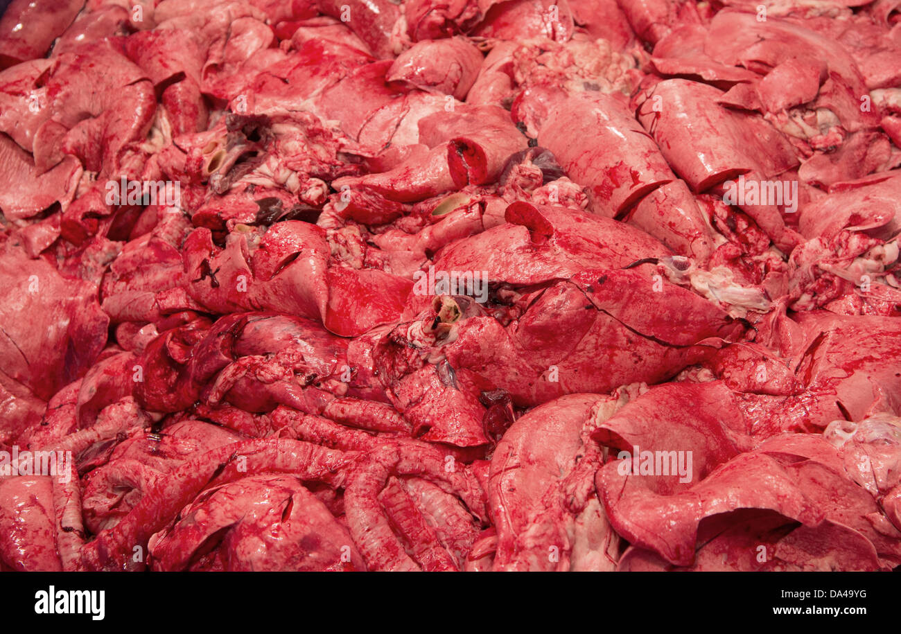 Pig offal in abattoir, Yorkshire, England, February Stock Photo