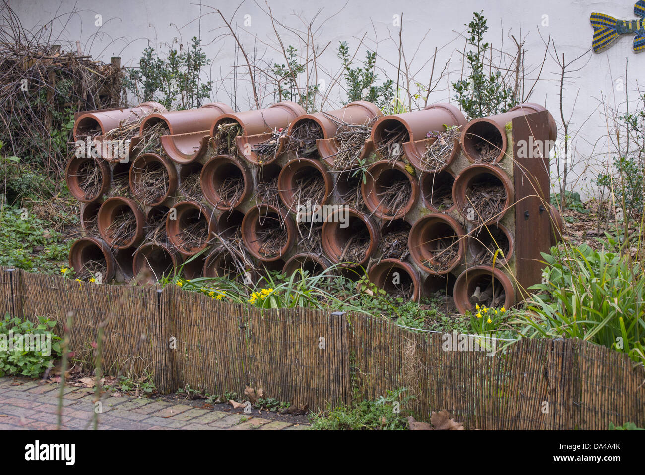 Wildlife habitat in city community garden, Thornhill Bridge Community