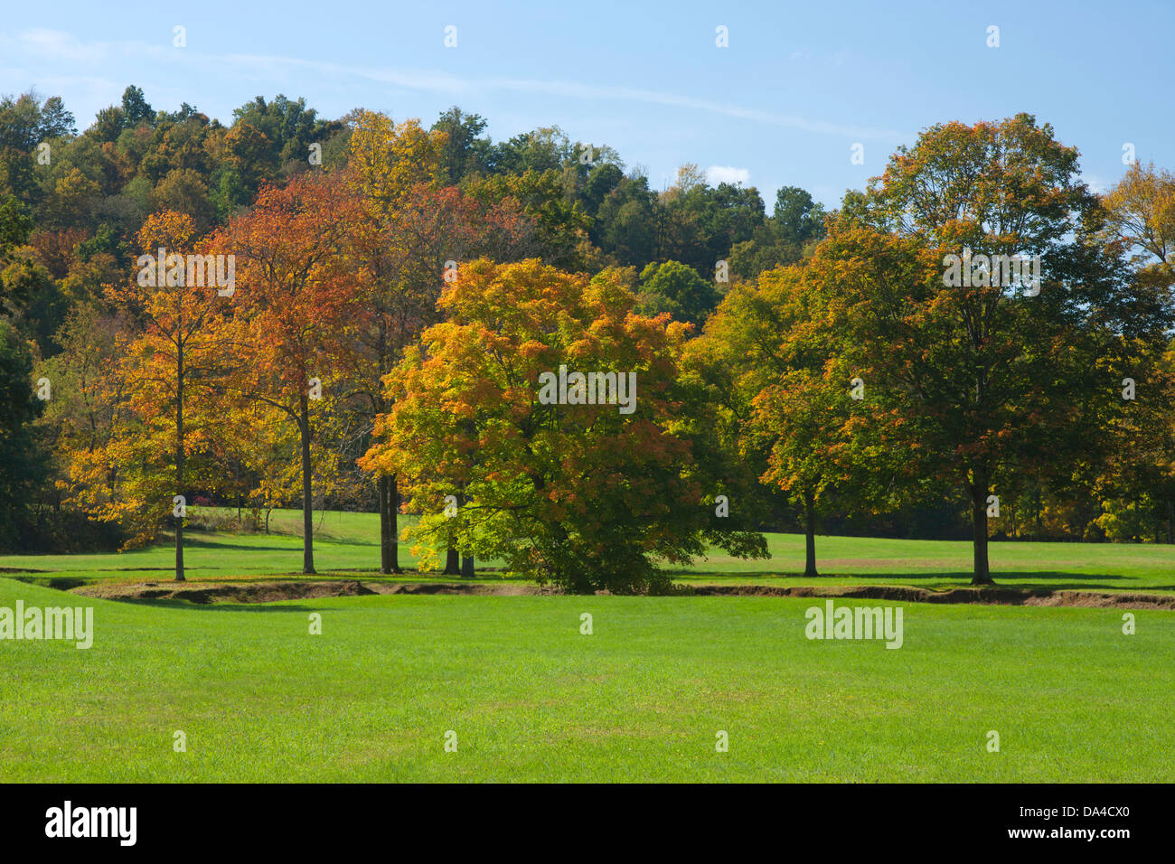 Trees of indiana hi-res stock photography and images - Alamy