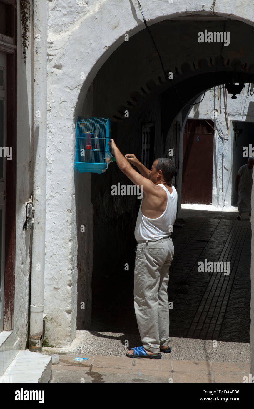 Man tending his pet bird in an alleyway in Rabat, Morocco Stock Photo