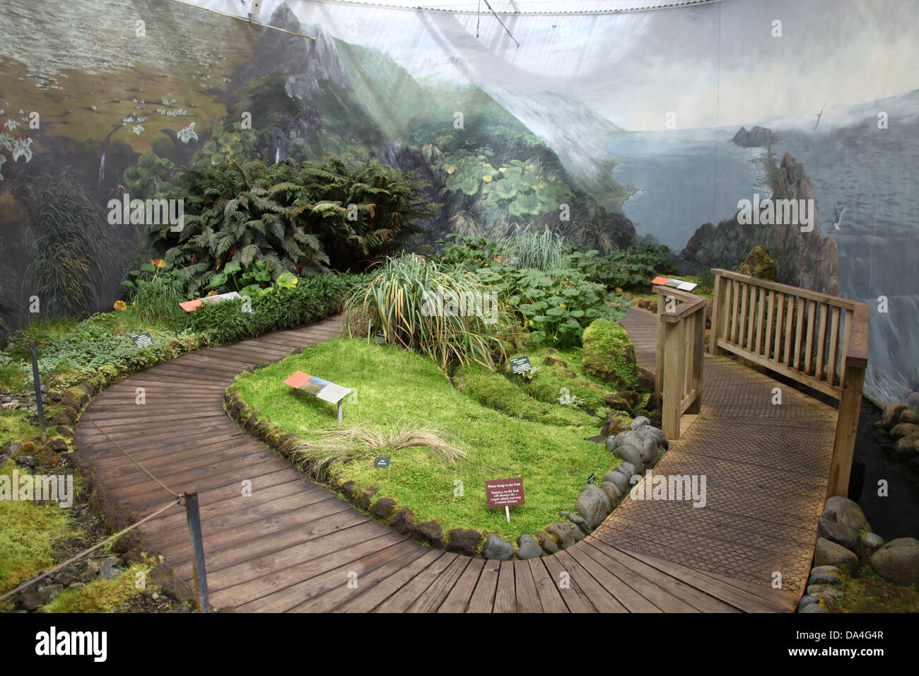 Inside the Sub Antarctic Plant House in the Royal Tasmanian Botanical Gardens Stock Photo