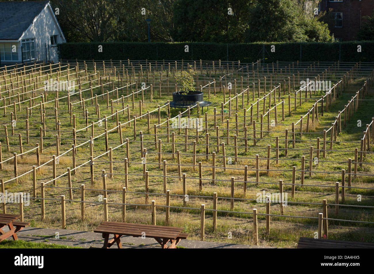 Building A Rope Maze