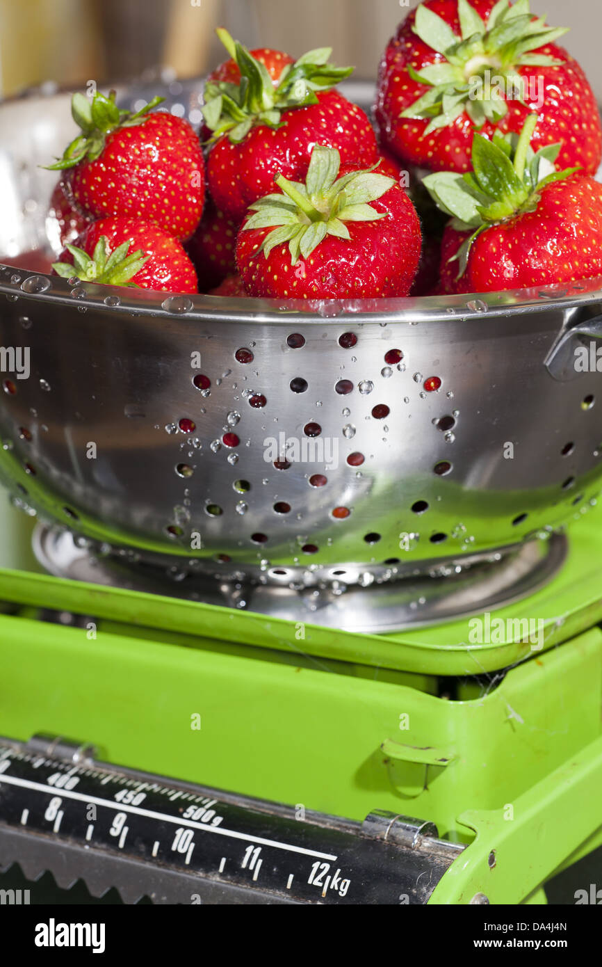 Weigh Freshly harvested red strawberries on an old kitchen scale Stock Photo
