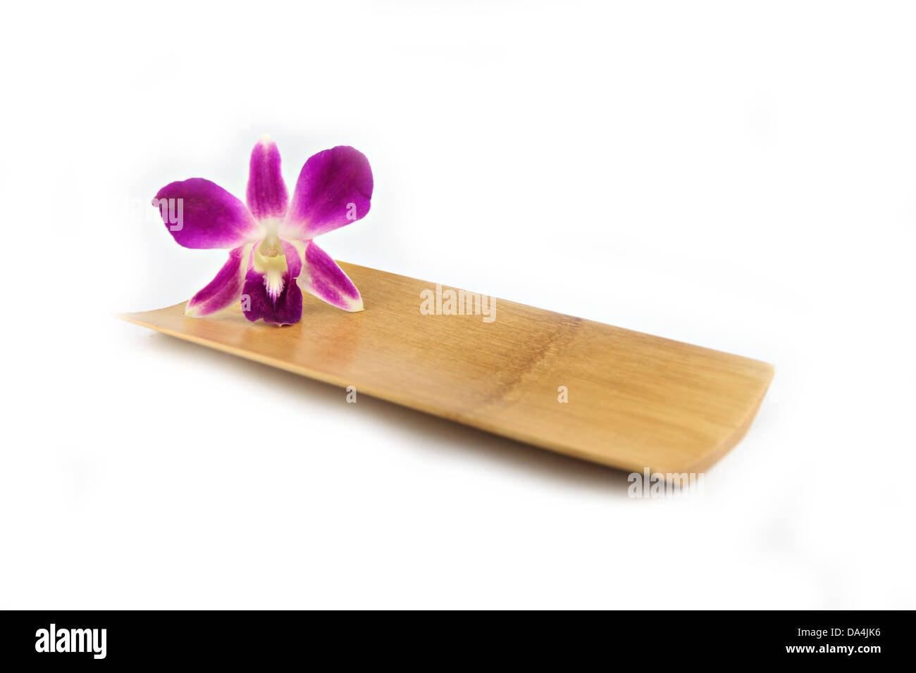 The Purple orchid in bamboo dish on white background. Stock Photo