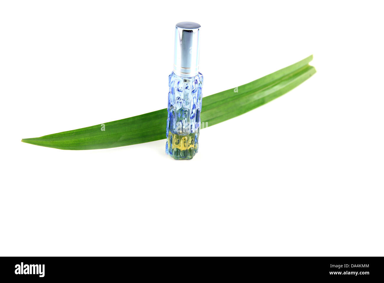 Blue bottle of perfume and pandanus on white background. Stock Photo