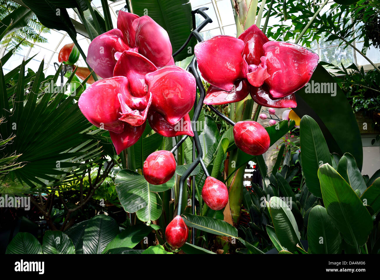 Art glass orchid flowers, in display at the Volunteer Park. Seattle