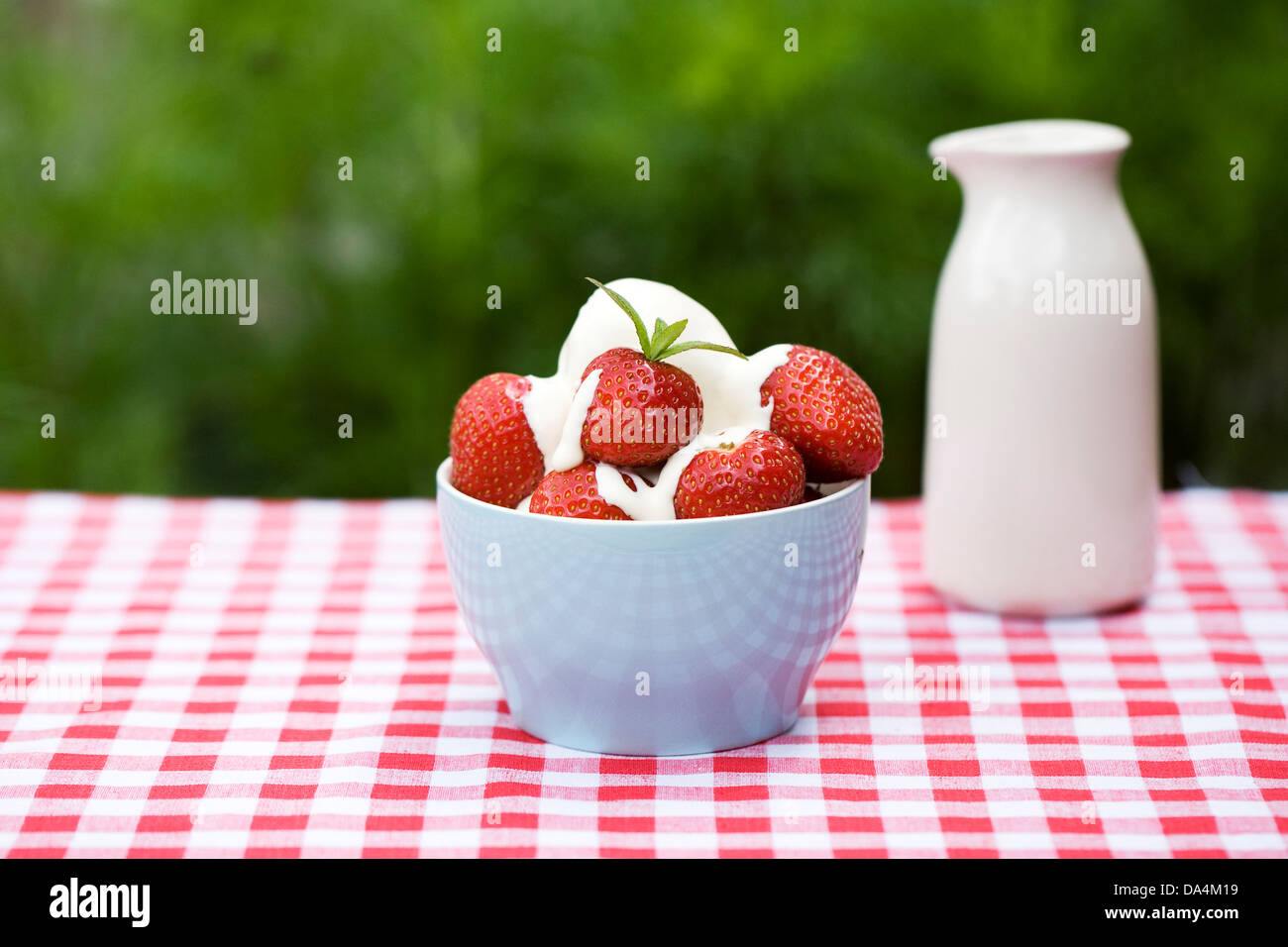 Bowl of freshly picked strawberries and cream. Stock Photo