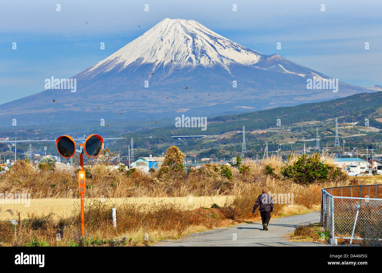 Farmland below Mt. Fuji in Japan. Stock Photo