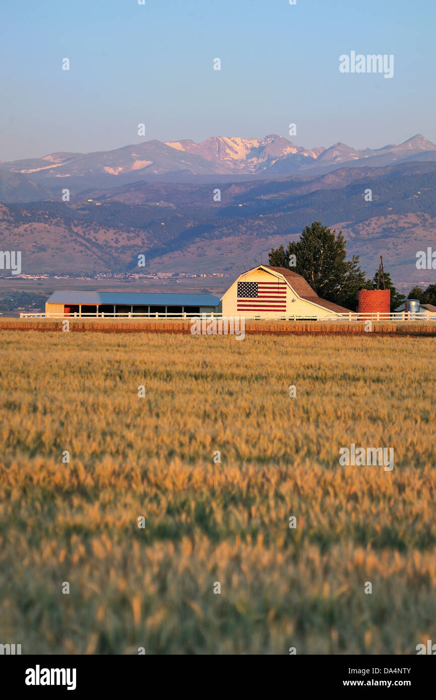 Wheat farm, Colorado, USA Stock Photo