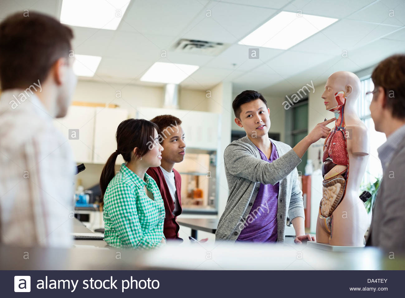 Students learning anatomy in college science lab Stock Photo Alamy