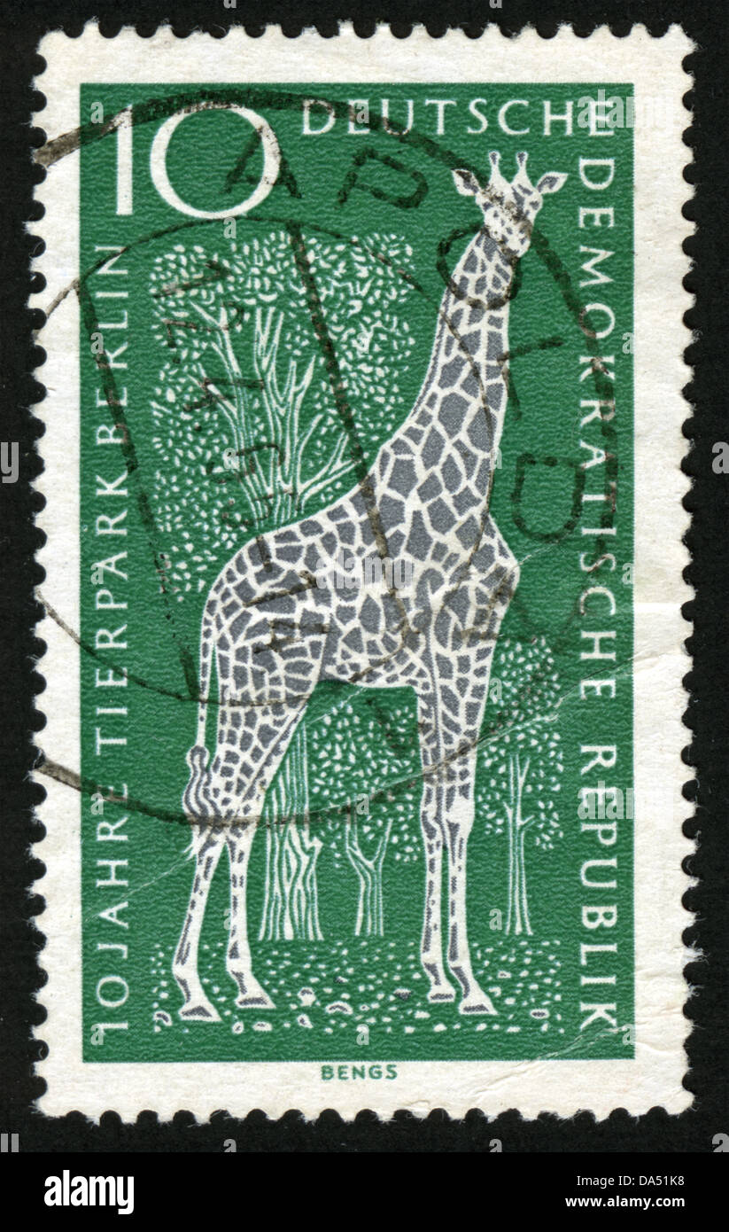 GDR, German Democratic Republic,10 years old, Tierpark Berlin,post mark,stamp,animals,animals illustrations,fauna,mammals,fauna Stock Photo - Alamy GDR, German Democratic Republic,10 years old, Tierpark Berlin,post mark,stamp,animals,animals illustrations,fauna,mammals,fauna Stock Photo - Alamy