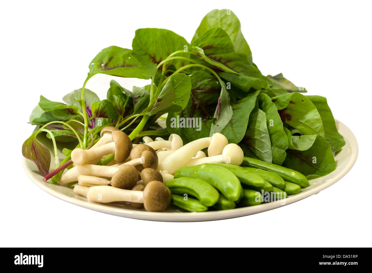 Japanese shimeji mushroom, Spring peas and Chinese spinach display in a white plate ready to cook Stock Photo