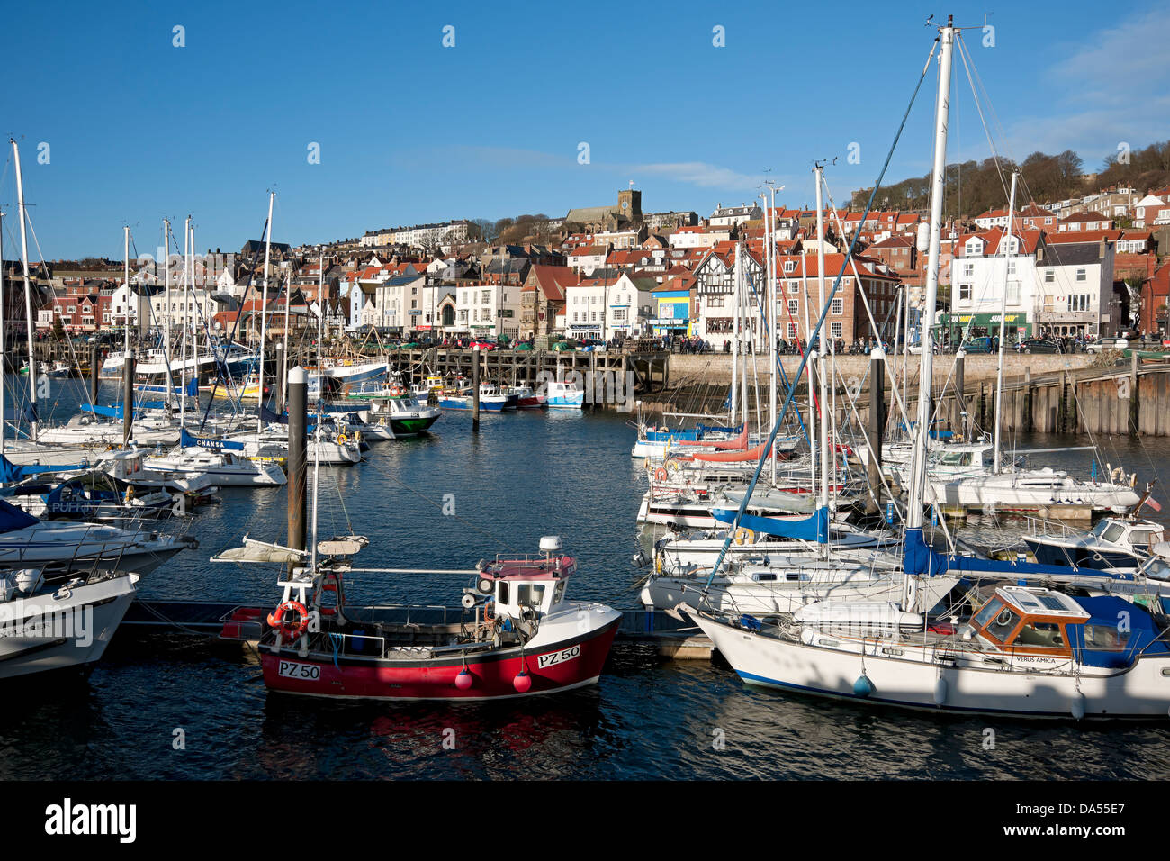 Boats moored in the marina harbour in winter Scarborough seafront town resort  North Yorkshire England UK United Kingdom GB Great Britain Stock Photo