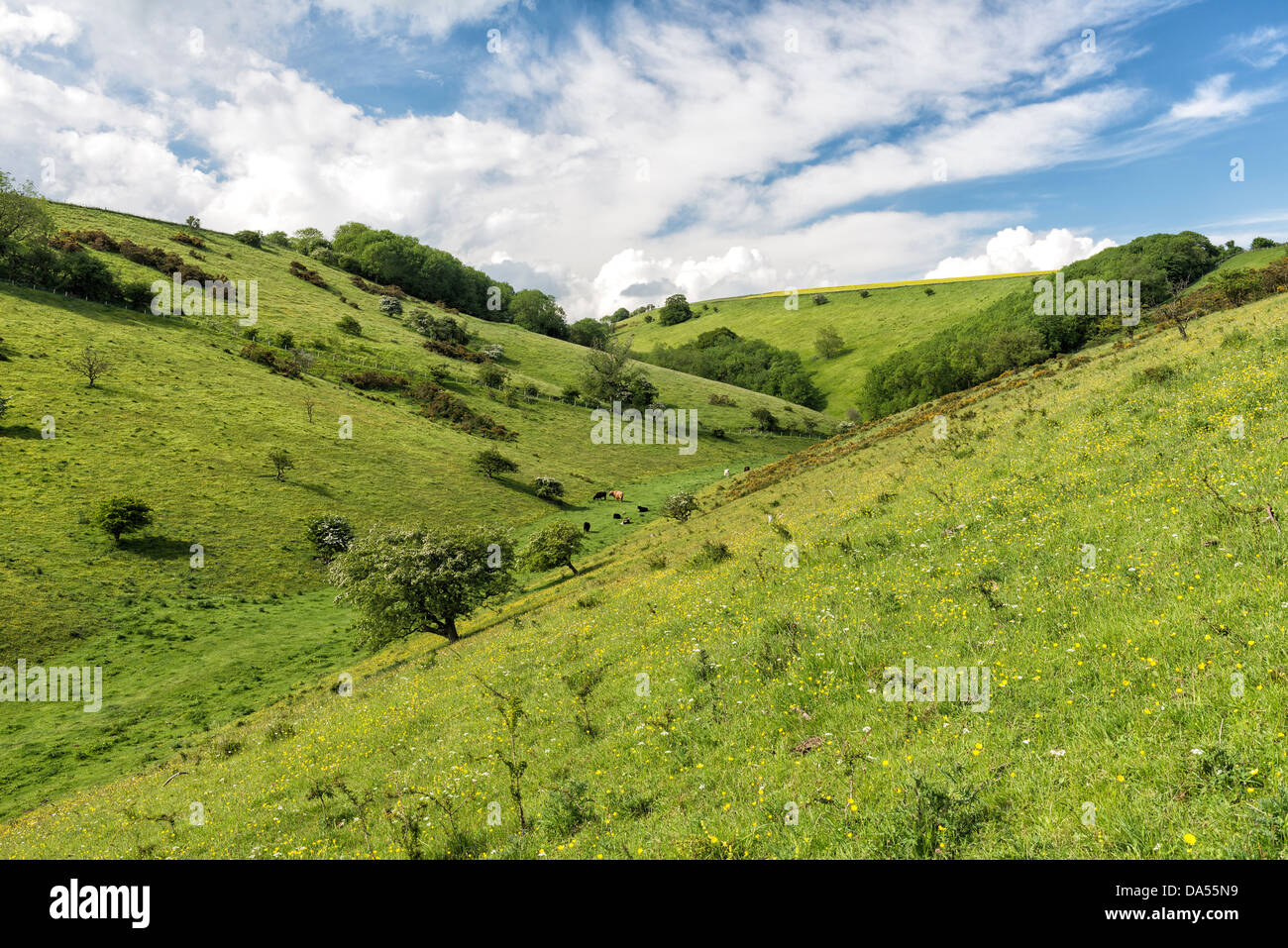 A bright sunny afternoon at Scoredale on the Yorkshire Wolds Stock Photo