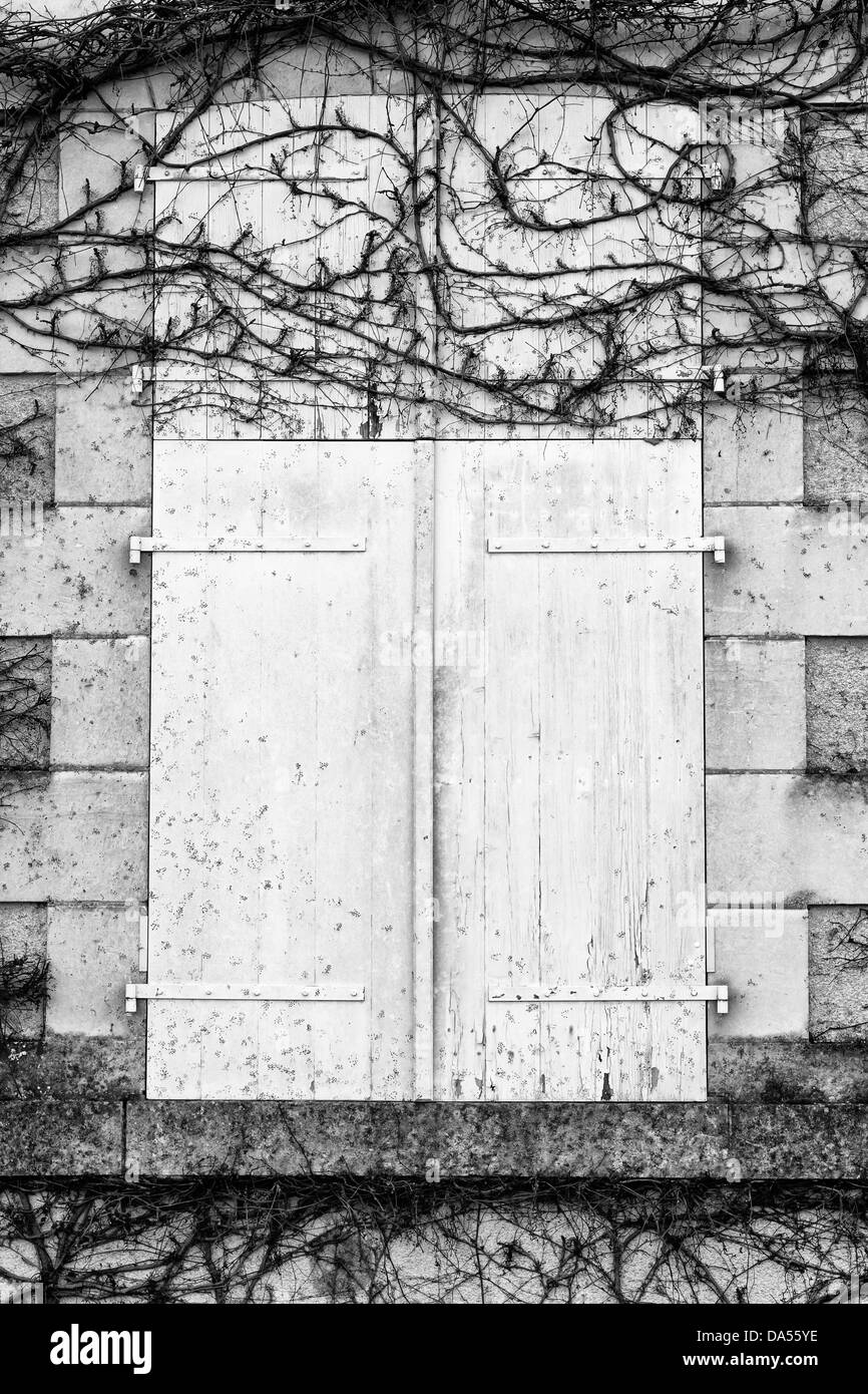 Overgrown shutters, France Stock Photo Alamy