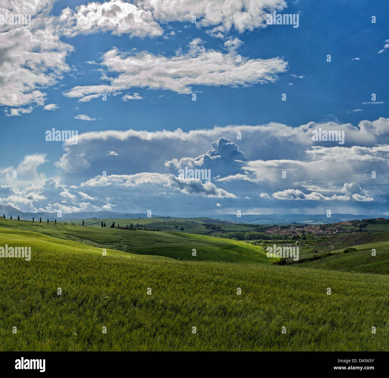 Torrenieri High Resolution Stock Photography and Images Alamy