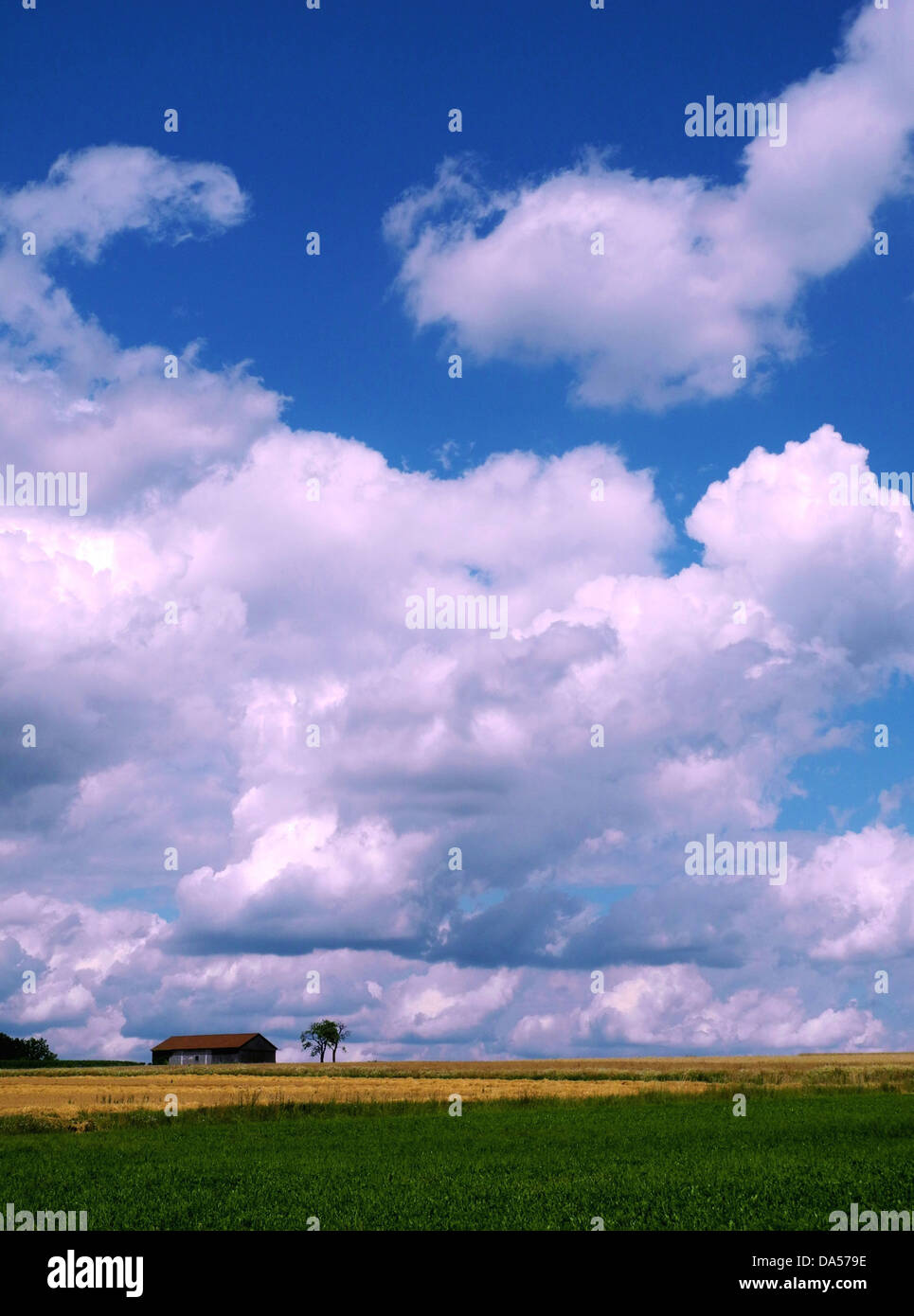 Germany, Upper Palatinate, meadow, field, barn, agriculture, sky, blue, clouds, Cumulus Stock Photo