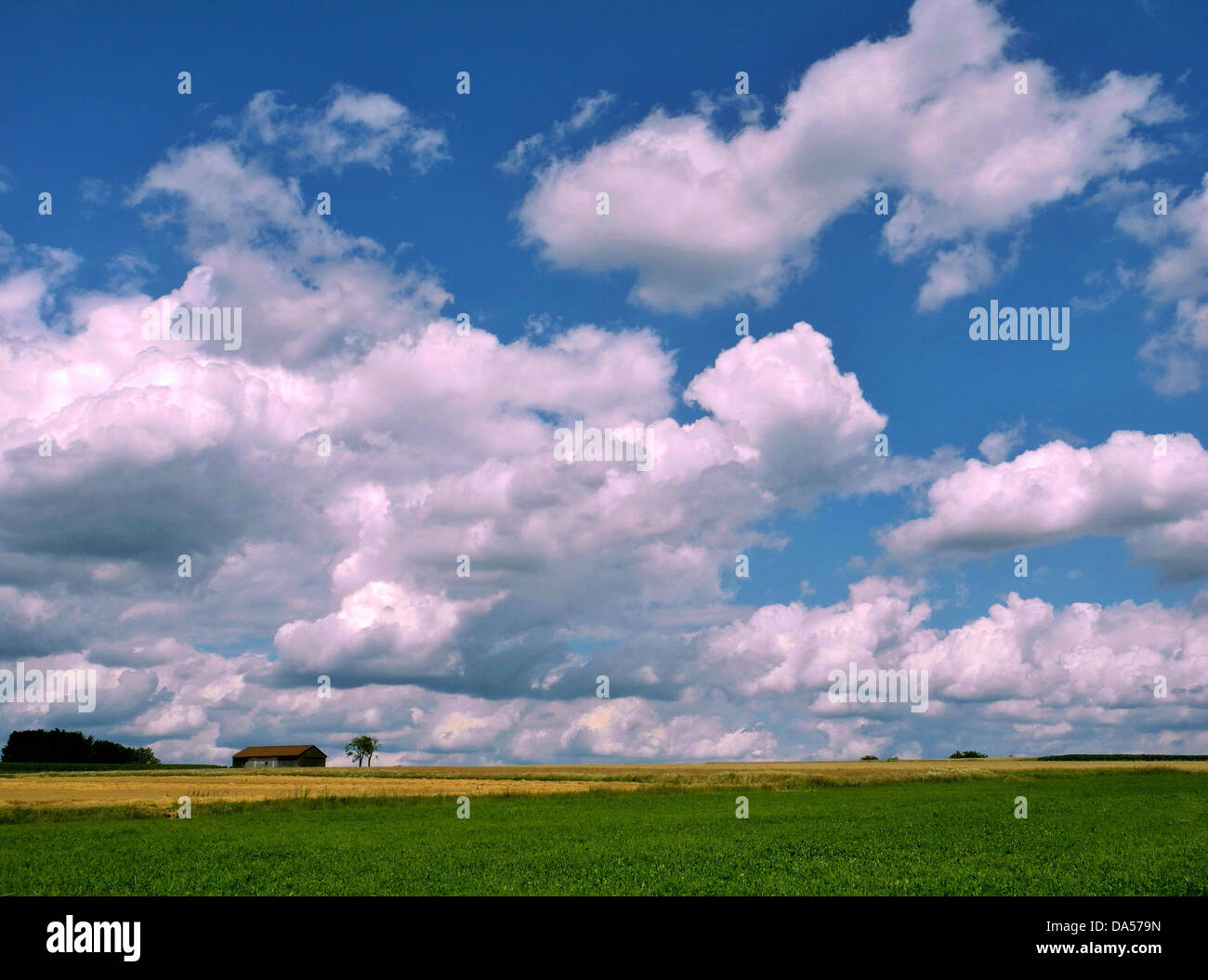 Germany, Upper Palatinate, meadow, field, barn, agriculture, sky, blue, clouds, Cumulus Stock Photo