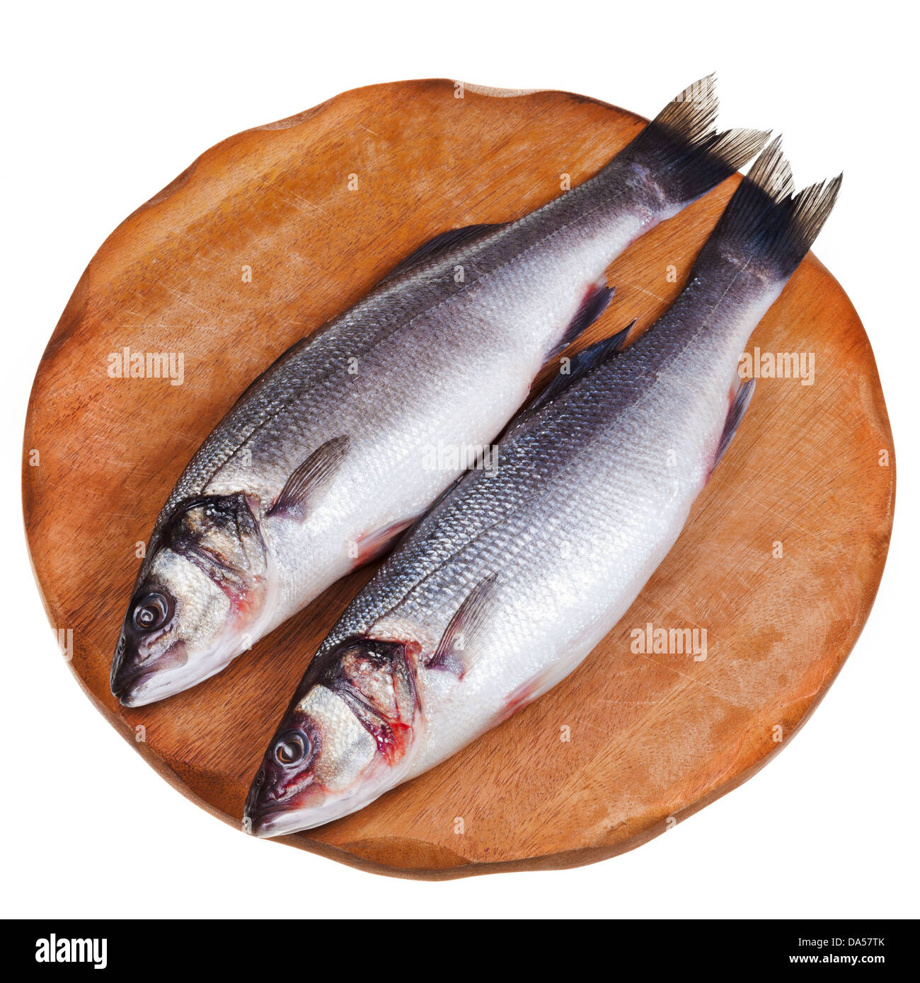 two raw sea bass fish on wooden board isolated on white background Stock Photo