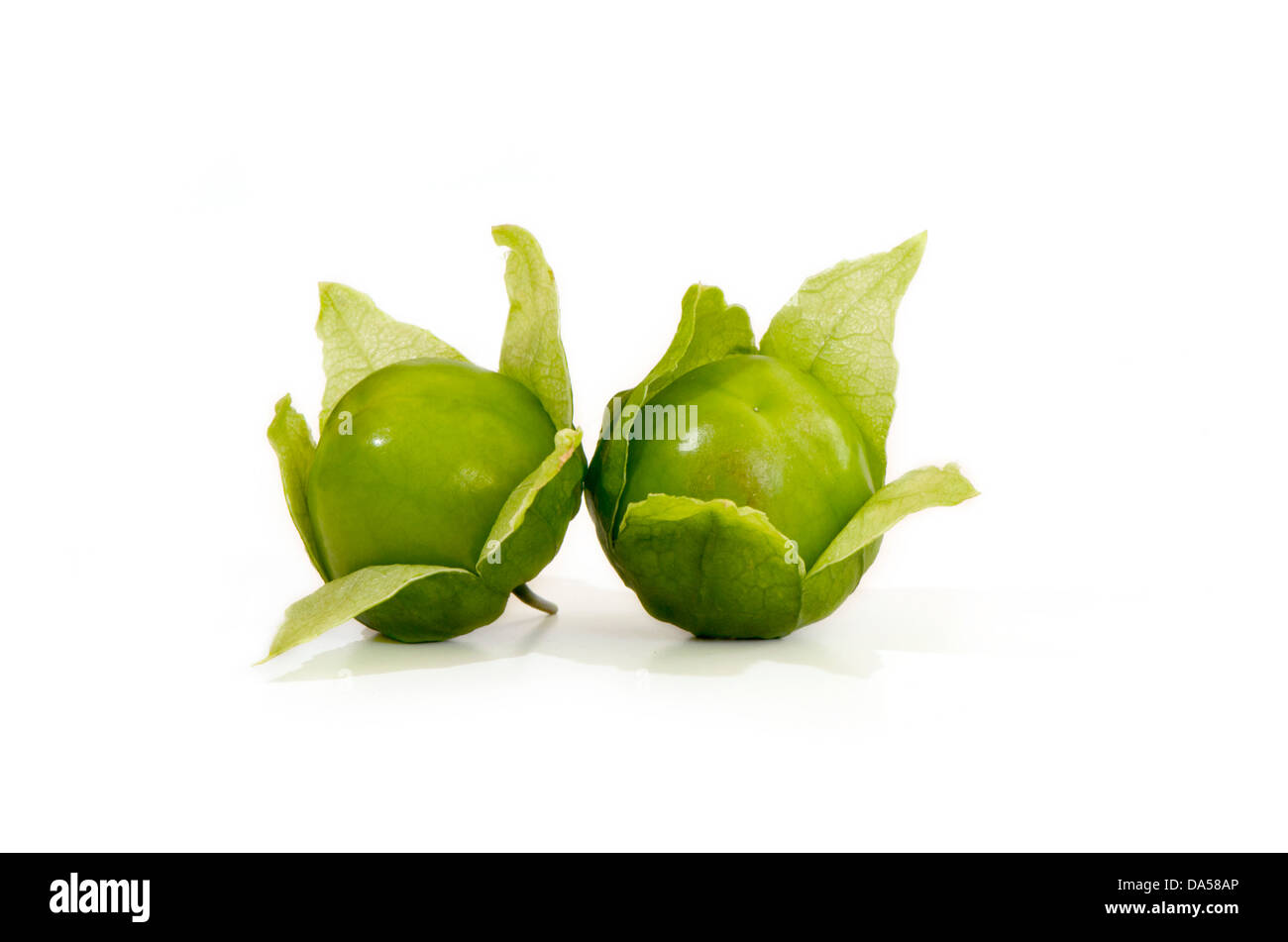 Close-up of Green tomatillo, Physalis philadelphica, fruit on white background. Stock Photo
