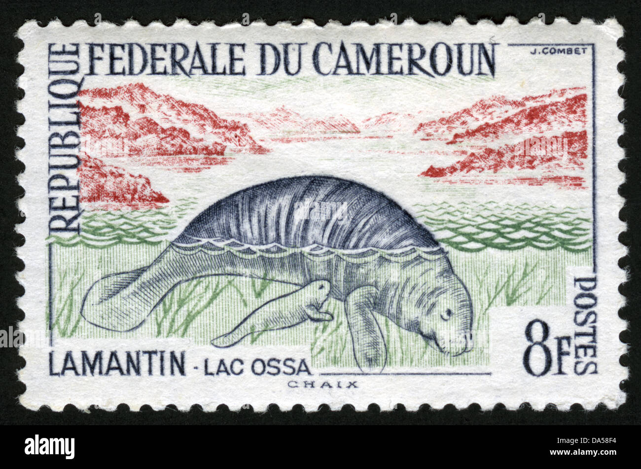 Lamantin High Resolution Stock Photography And Images Alamy