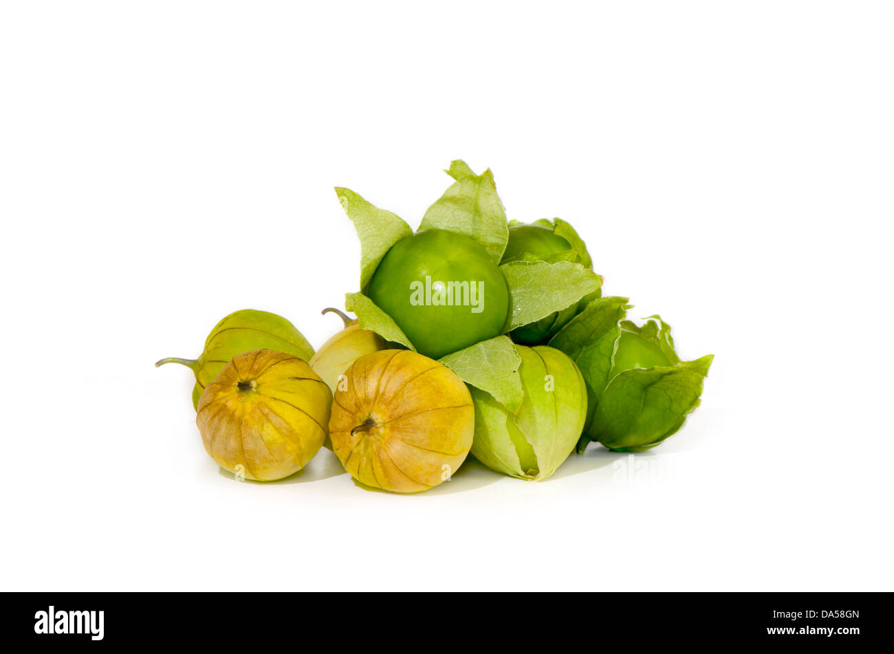 Close-up of Green tomatillos, Physalis philadelphica, fruit on white background. Stock Photo