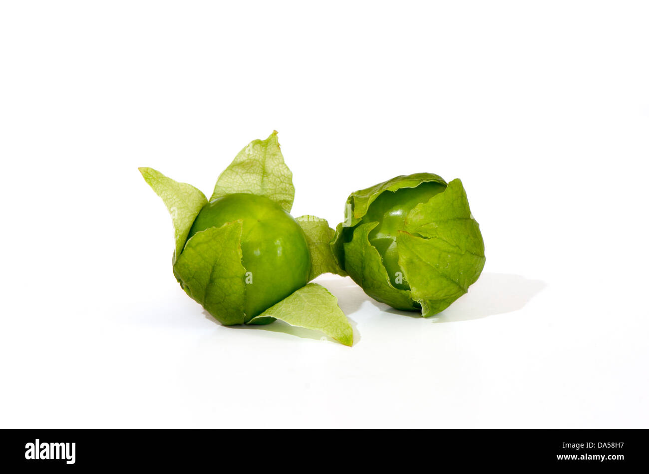 Close-up of two Green tomatillo, Physalis philadelphica, fruit on white background. Stock Photo
