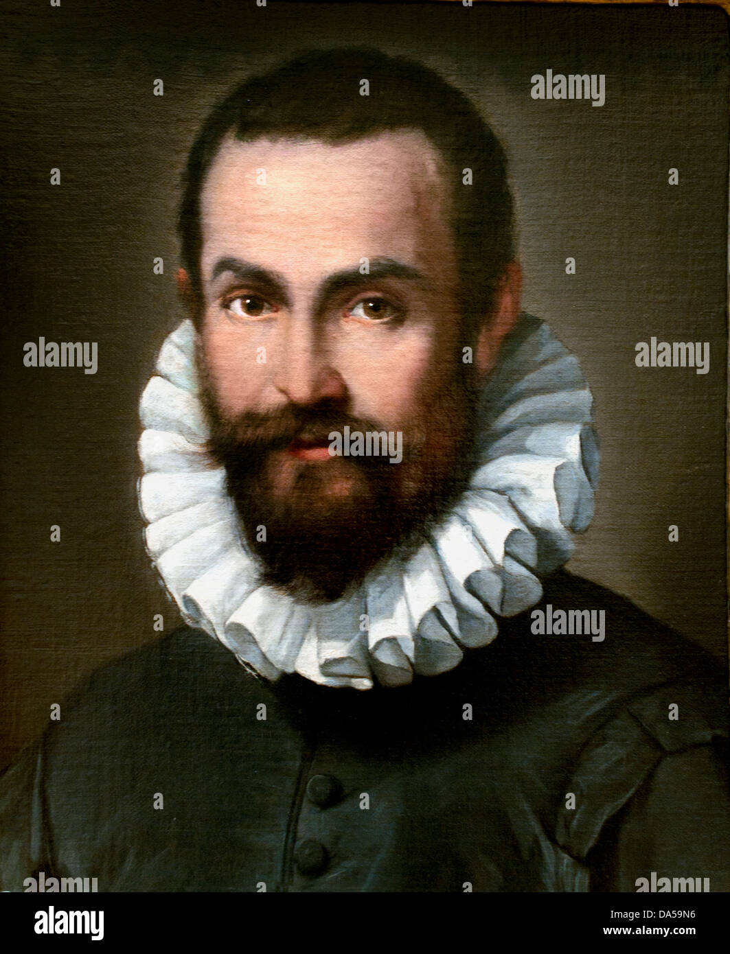 Portrait of a gentleman Federico Barocci 1526 – 1612  Italy Italian Stock Photo