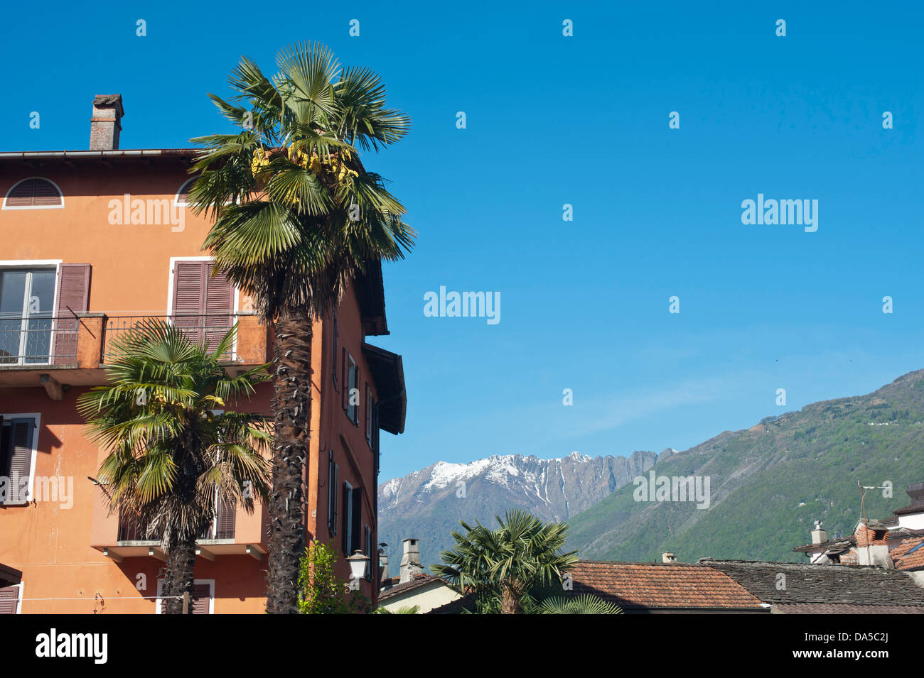 Switzerland, Europe, Ticino, Ascona, houses, homes, palms, touristical, Stock Photo
