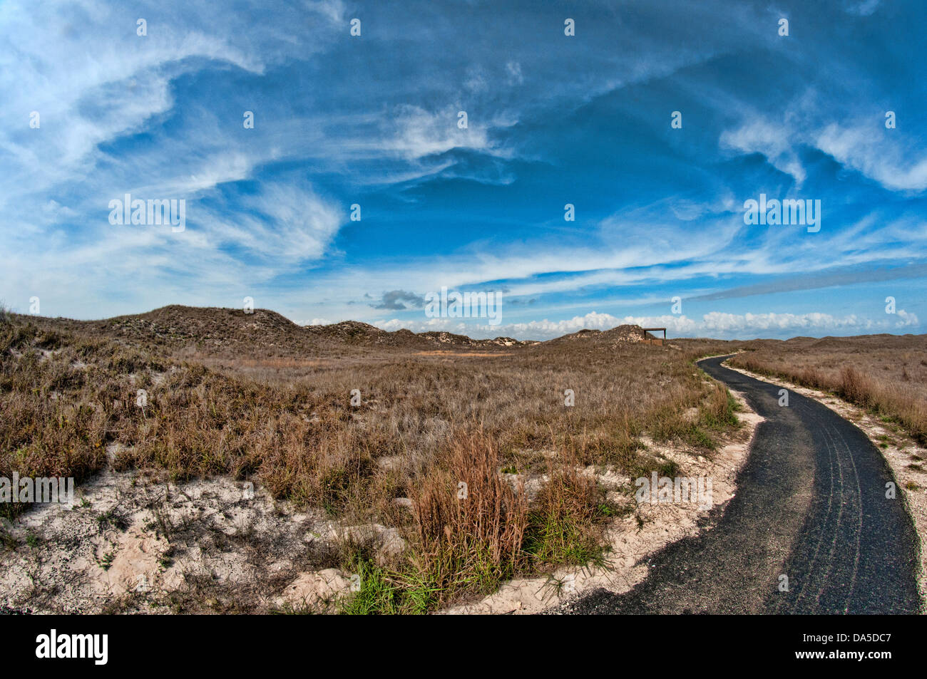 padre island, national, seashore, Texas, USA, United States, America, vegetation, sky, landscape, road Stock Photo