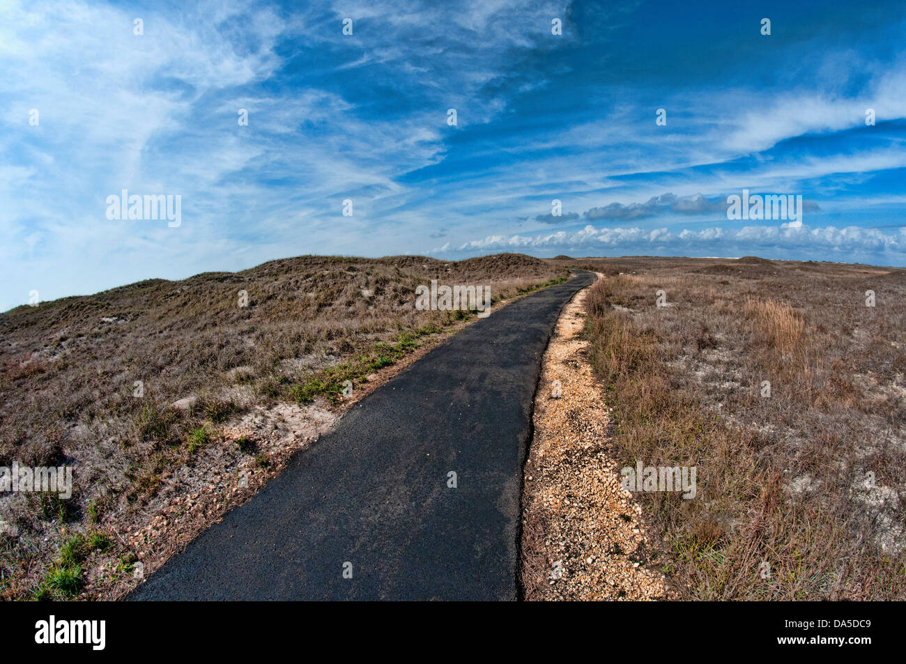 padre island, national, seashore, Texas, USA, United States, America, vegetation, sky, landscape, road Stock Photo
