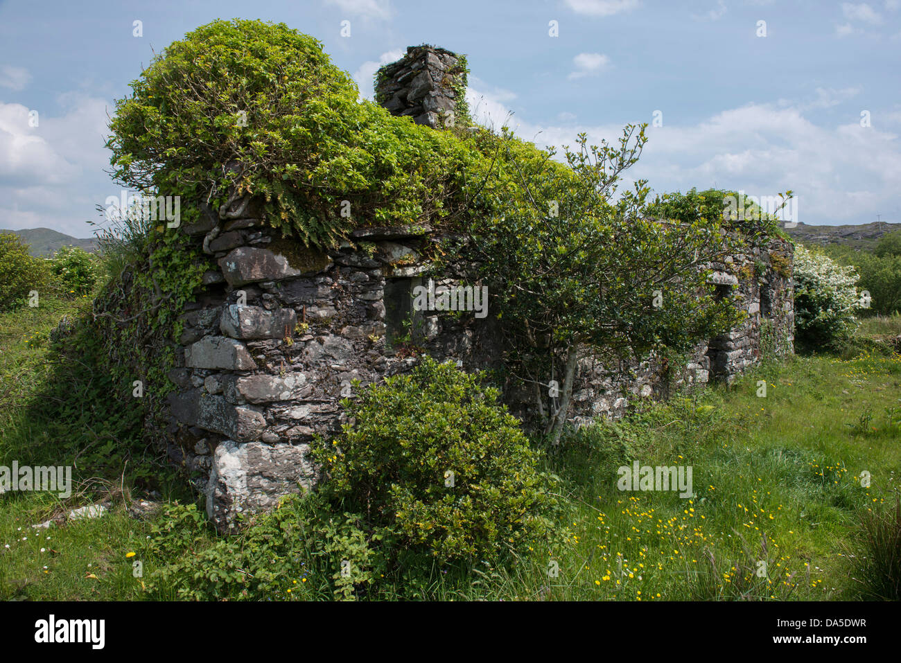 Old famine cottage from Irelands Great Famine a period of mass starvation, disease and emigration between 1845 and 1852 Stock Photo