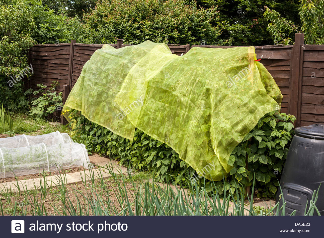 Protect Bushes Stock Photos & Protect Bushes Stock Images Alamy