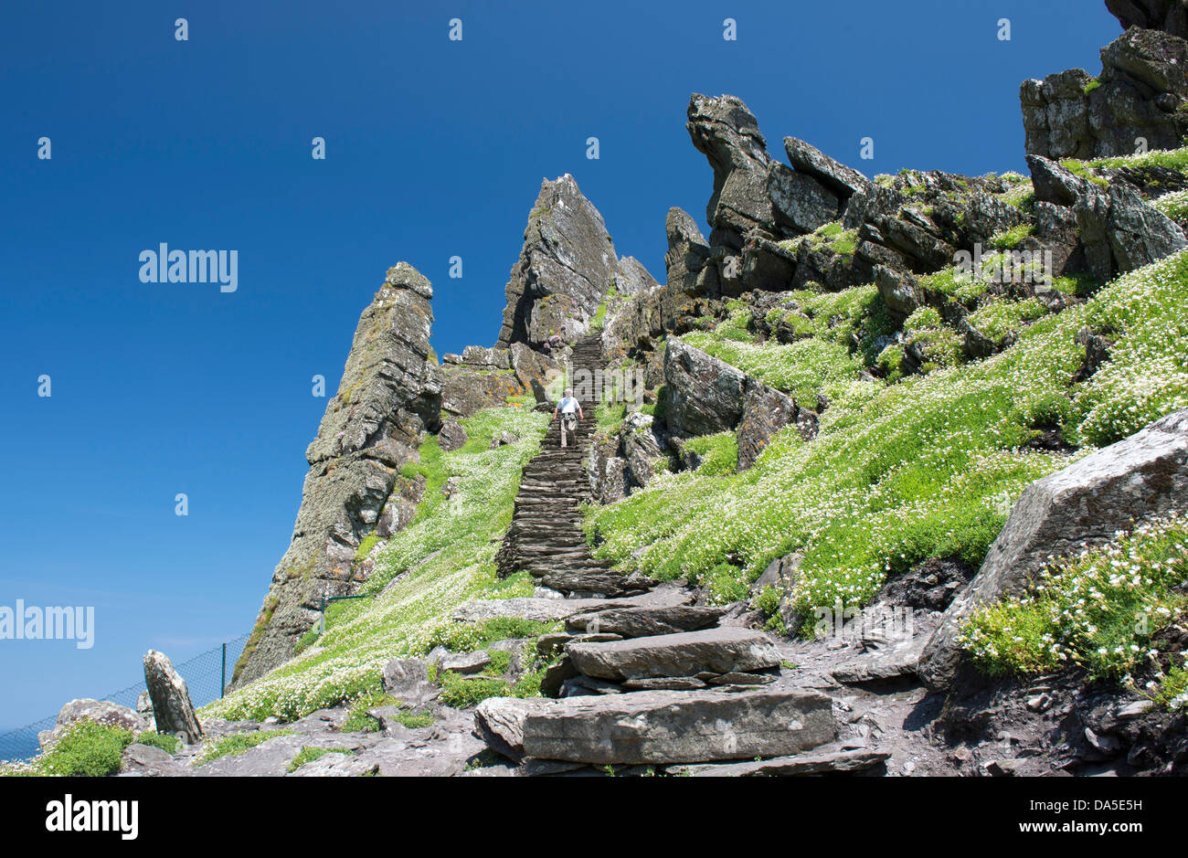 A lone visitor on the final few steps to the top of Skellig Michael or Great Skellig. Site of 6th to 8th Century Monastery Stock Photo