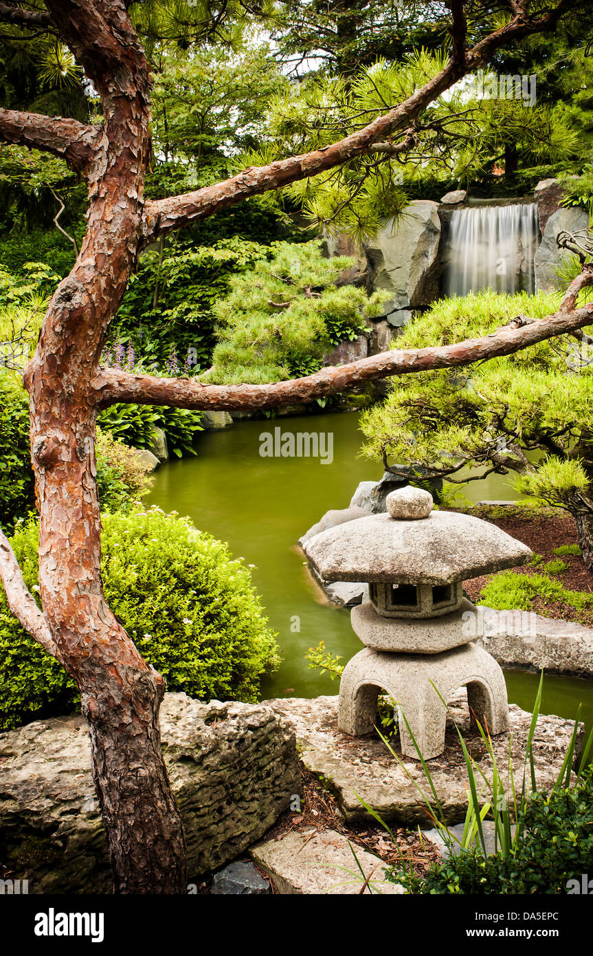 Lantern and koi pond at the Minnesota landscape arboretum Japanese ...