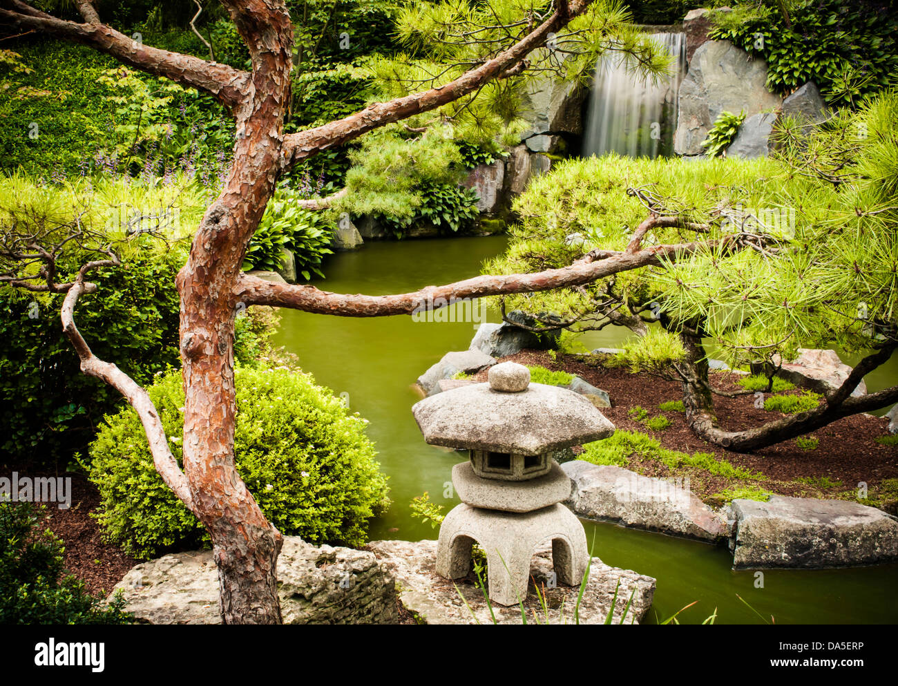 Lantern and koi pond at the Minnesota landscape arboretum Japanese ...